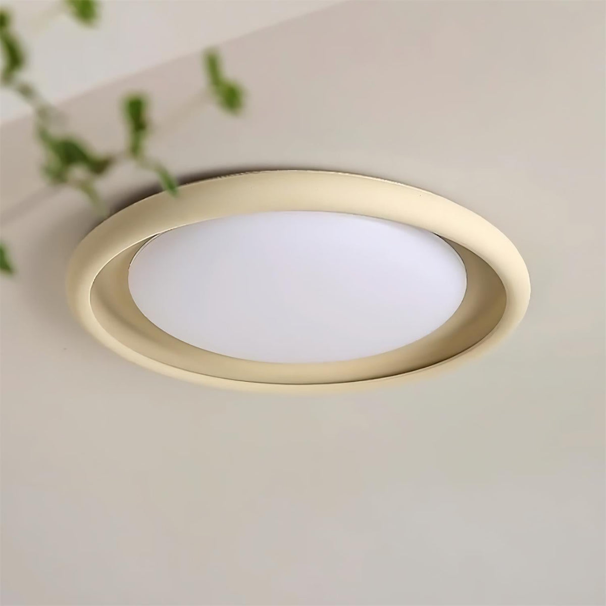 Nuria Acrylic Ceiling Light — product view 11