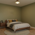 Calico Ceiling Light — product view 14