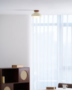 Calico Ceiling Light — product view 22
