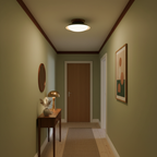 Paulo Metal Ceiling Light — product view 8