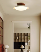 Paulo Metal Ceiling Light — product view 11