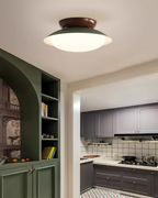 Paulo Metal Ceiling Light — product view 12