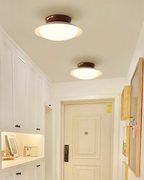 Paulo Metal Ceiling Light — product view 13