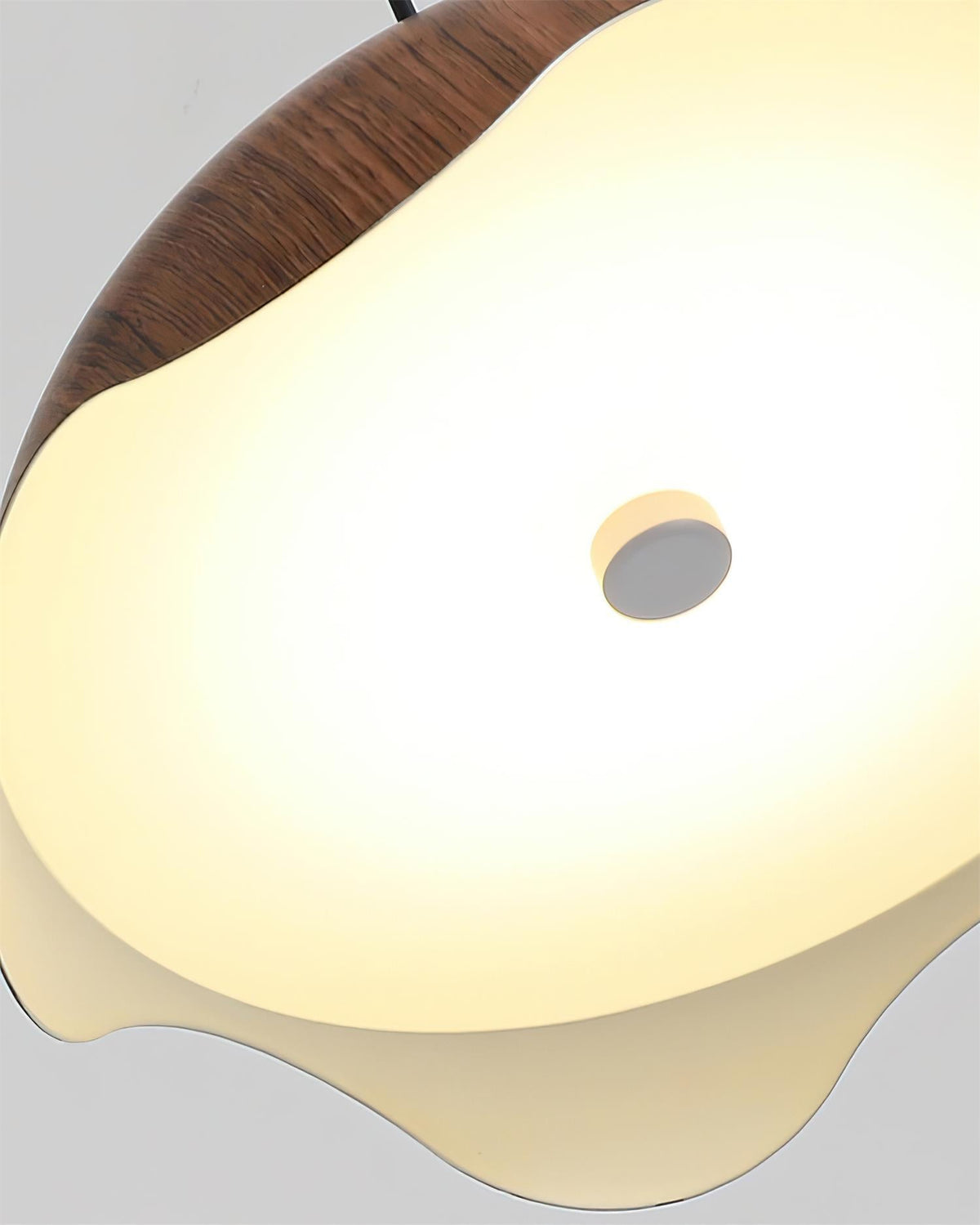 Callan Metal Pendant Lamp — product view 24