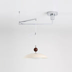 Manta Swing Arm Wood Pendant Light — product view 7