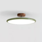 Zayn Metal Ceiling Lamp — product view 19