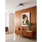 Zayn Metal Ceiling Lamp — product view 24
