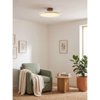 Zayn Metal Ceiling Lamp — product view 30