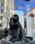Monkey Metal Table Lamp — product view 26