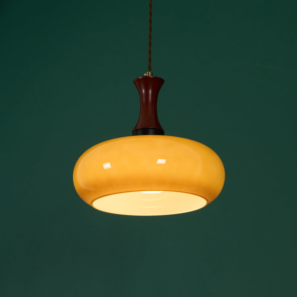 Mayon Plug In Glass Pendant Lamp — product view 21