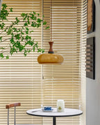 Mayon Plug In Glass Pendant Lamp — product view 32