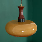 Mayon Plug In Glass Pendant Lamp — product view 42