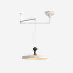 Lodi Swing Arm Metal Pendant Light — product view 1