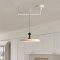 Lodi Swing Arm Metal Pendant Light — product view 2