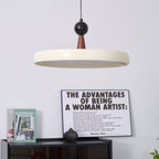 Lodi Swing Arm Metal Pendant Light — product view 20