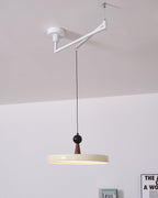 Lodi Swing Arm Metal Pendant Light — product view 25