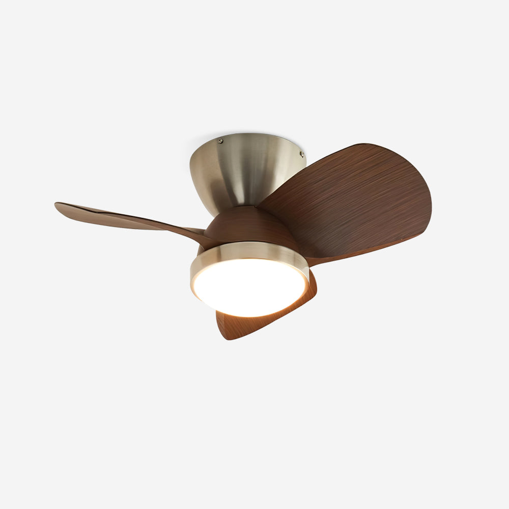 Talaya 24″ Ceiling Fan Light — product view 1