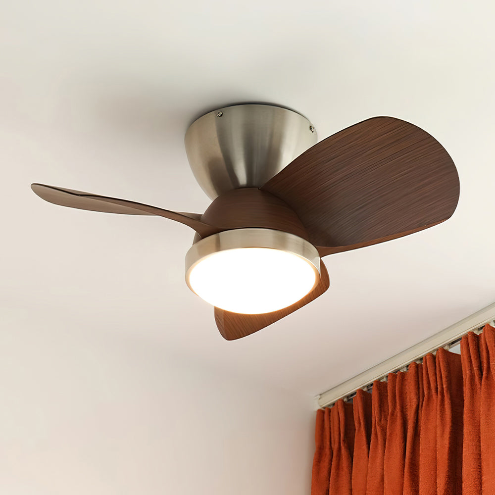 Talaya 24″ Ceiling Fan Light — product view 3
