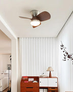 Talaya 24″ Ceiling Fan Light — product view 4