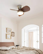 Talaya 24″ Ceiling Fan Light — product view 6