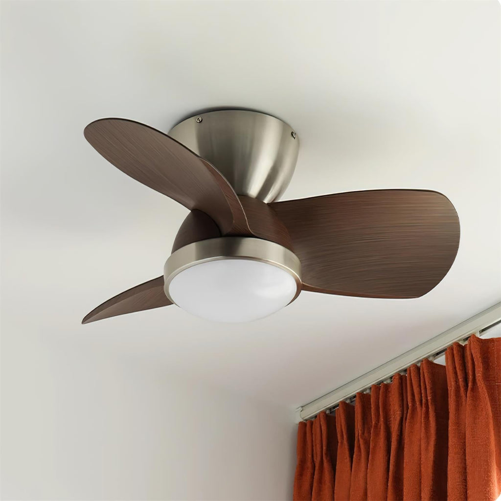 Talaya 24″ Ceiling Fan Light — product view 7