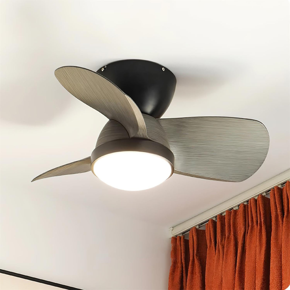 Talaya 24″ Ceiling Fan Light — product view 8
