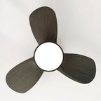 Talaya 24″ Ceiling Fan Light — product view 10