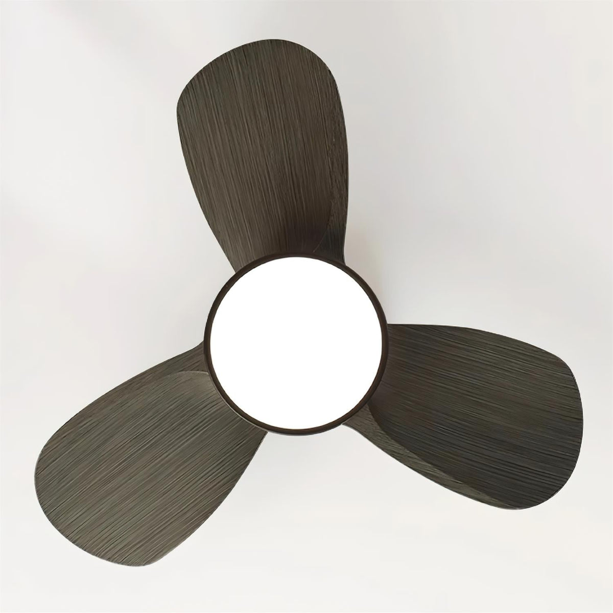 Talaya 24″ Ceiling Fan Light — product view 10