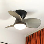 Talaya 24″ Ceiling Fan Light — product view 11