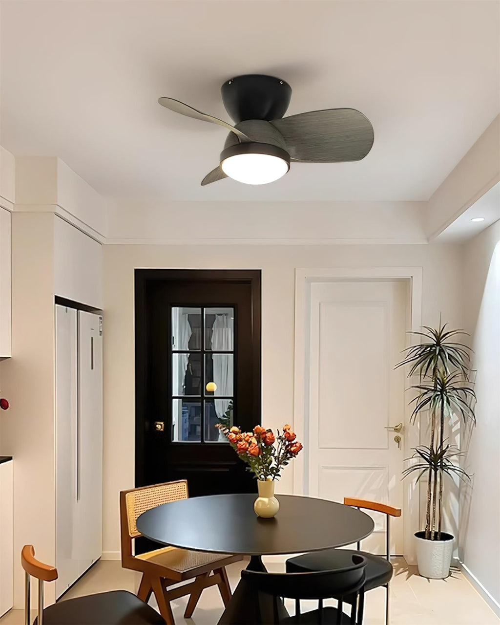 Talaya 24″ Ceiling Fan Light — product view 13