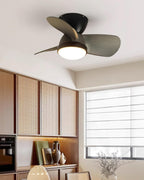 Talaya 24″ Ceiling Fan Light — product view 14