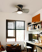 Talaya 24″ Ceiling Fan Light — product view 15