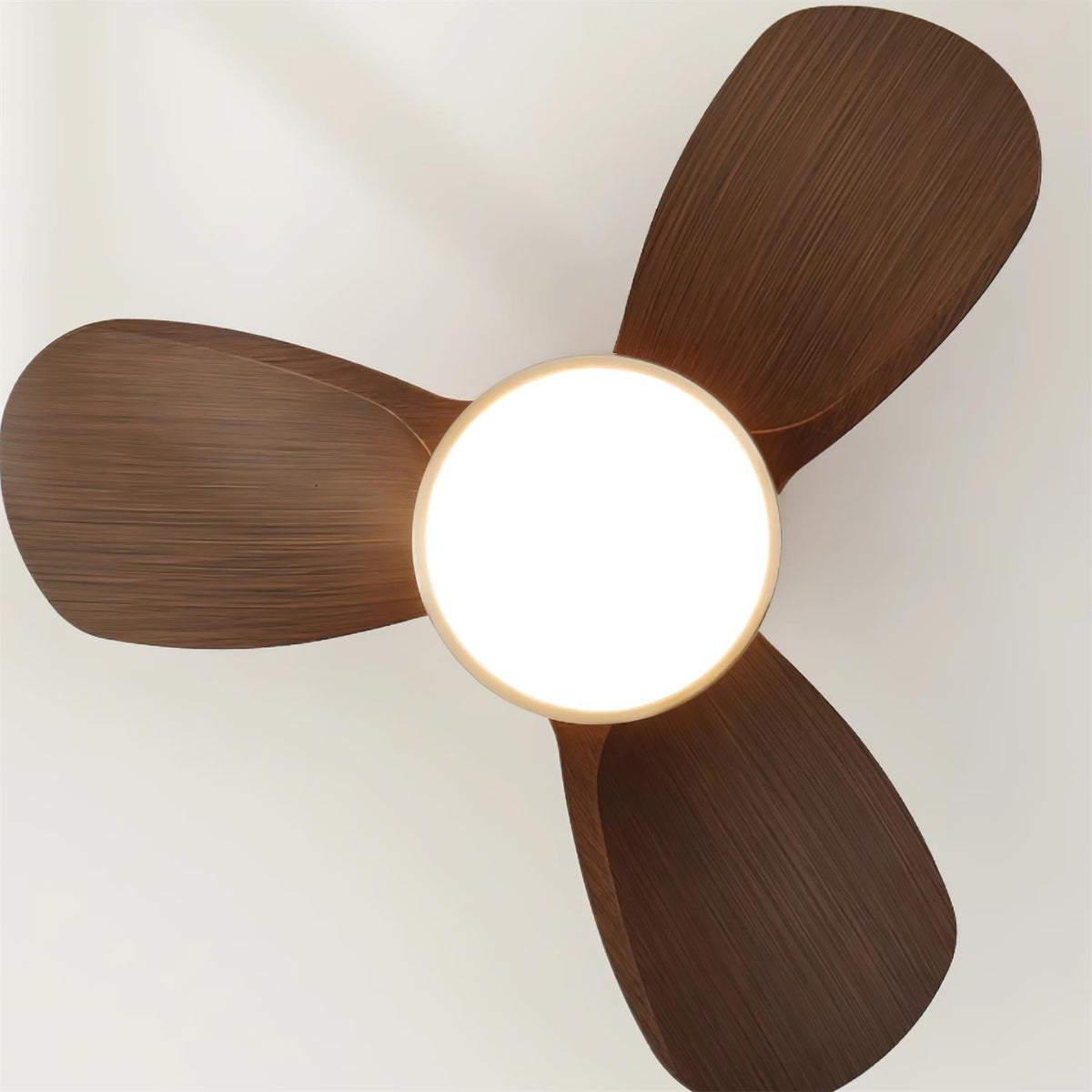 Talaya 24″ Ceiling Fan Light — product view 16