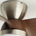 Talaya 24″ Ceiling Fan Light — product view 17
