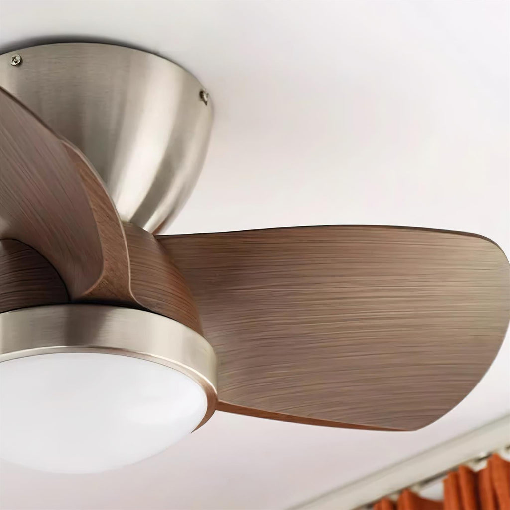 Talaya 24″ Ceiling Fan Light — product view 18