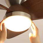 Talaya 24″ Ceiling Fan Light — product view 19
