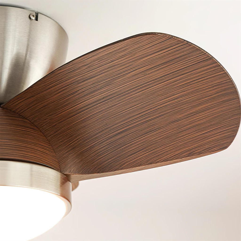 Talaya 24″ Ceiling Fan Light — product view 20