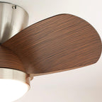 Talaya 24″ Ceiling Fan Light — product view 20