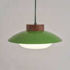 Sima Plug In Iron Pendant Lamp — product view 17
