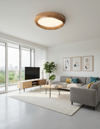 Eoniko Acrylic Ceiling Lamp — product view 4