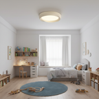 Eoniko Acrylic Ceiling Lamp — product view 8