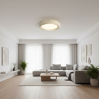 Eoniko Acrylic Ceiling Lamp — product view 10