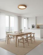 Eoniko Acrylic Ceiling Lamp — product view 12