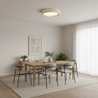 Eoniko Acrylic Ceiling Lamp — product view 13
