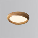 Eoniko Acrylic Ceiling Lamp — product view 17