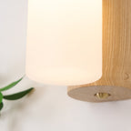 Arcus Curved Wood LED Wall Sconce - product view 27
