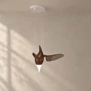 Walnut Color