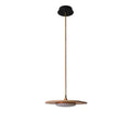 Calder Blossom Chandelier — product and interior detail 9
