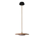 Calder Blossom Chandelier — product and interior detail 9