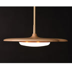 Calder Blossom Chandelier — product and interior detail 16
